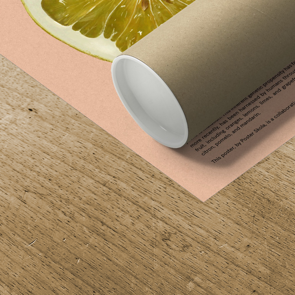 WINTER CITRUS 20"X28" Fine Art Print