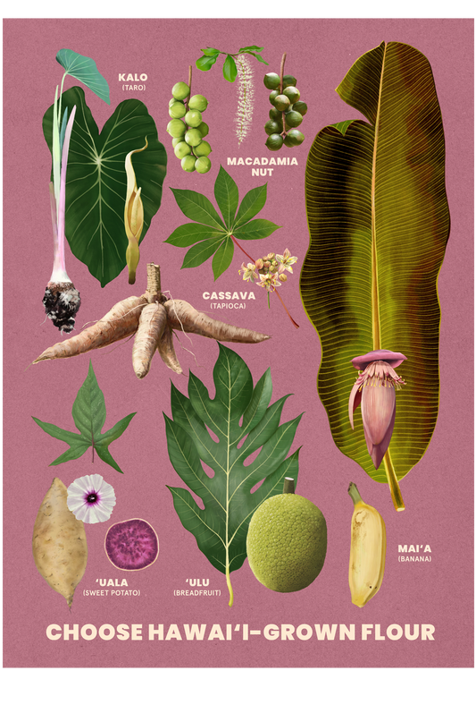 HAWAII GROWN FLOUR 20X28 Fine Art Print