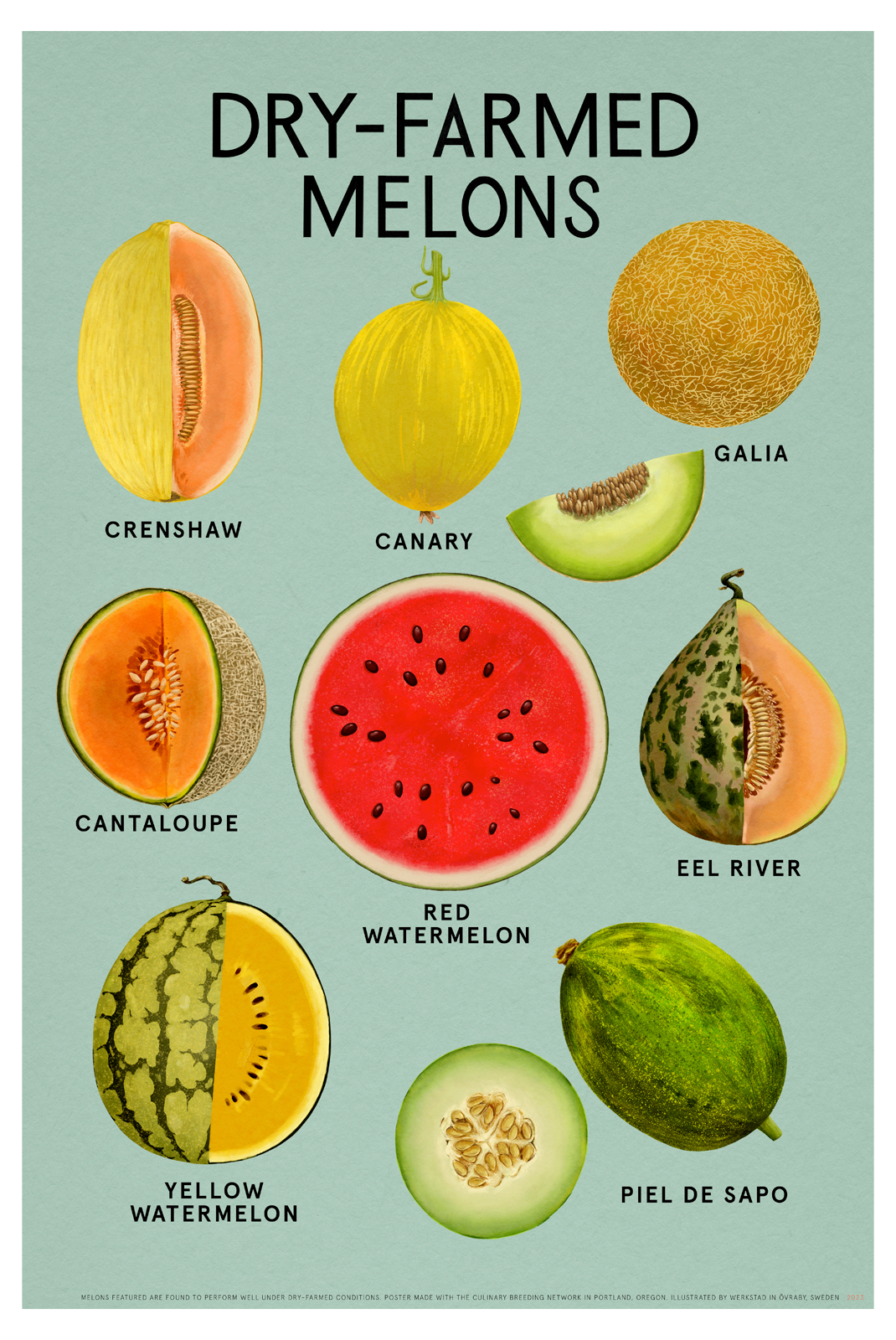 DRY-FARMED MELONS Fine Art Print