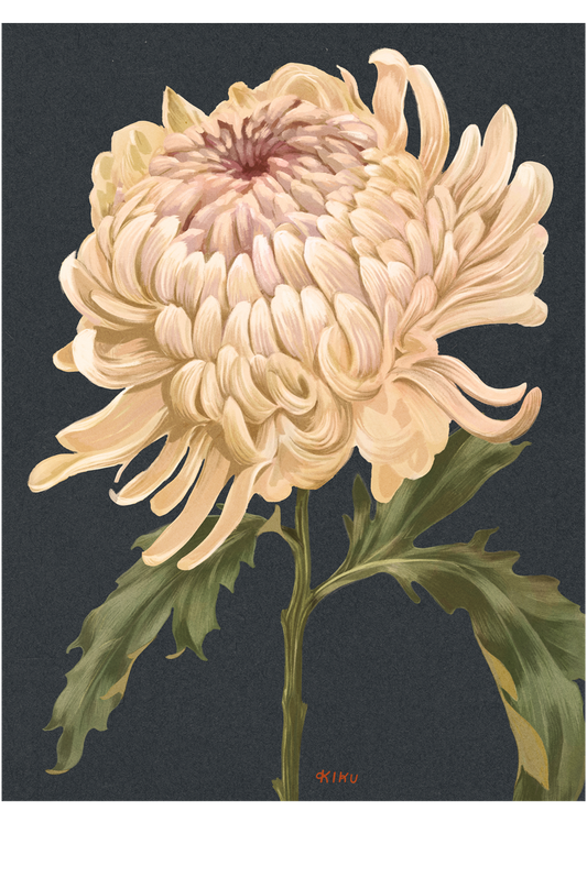 KIKU 18"x24" Fine Art Print
