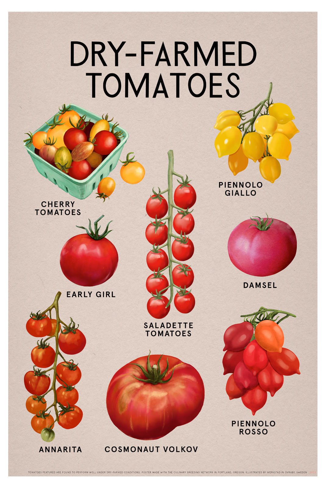 DRY-FARMED TOMATOES Fine Art Print