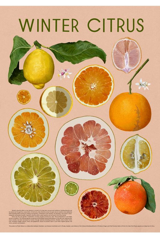 WINTER CITRUS 20"X28" Fine Art Print